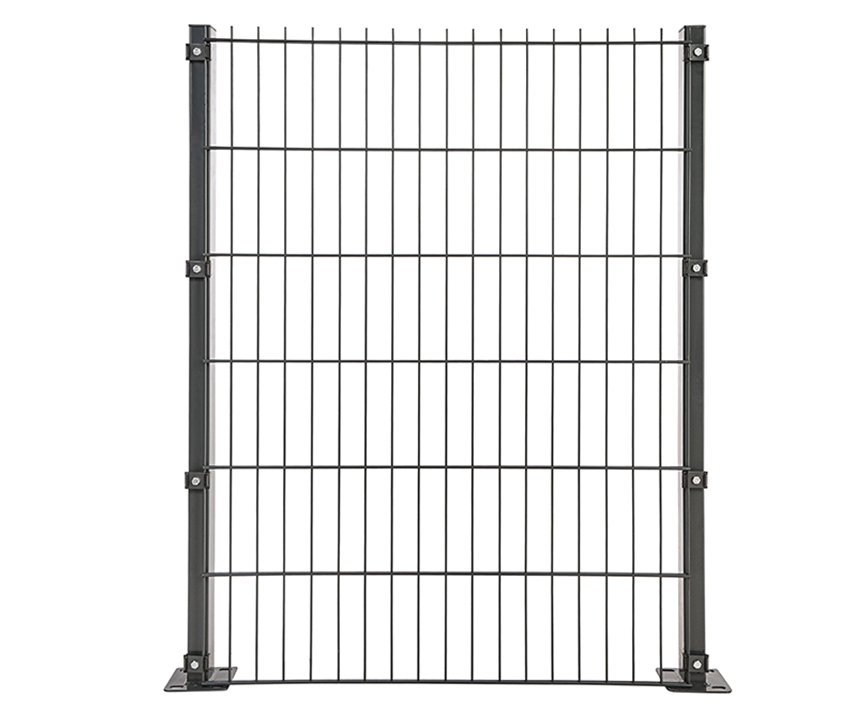 double_panel_cit_01